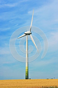 Wheat field and wind turbine