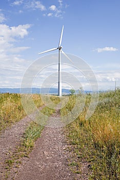 Wheat field with wind turbine in a cloudy sky