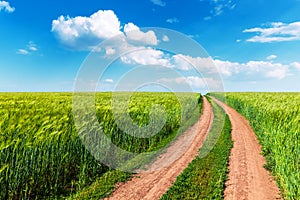 Wheat field, winding road and blue sky with clouds