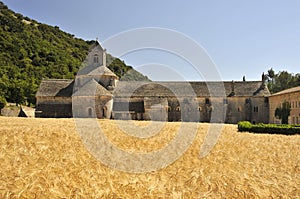 Wheat fields at the Abbey of Senanque, France