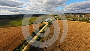 Wheat fields along road leading to warehouse under blue sky