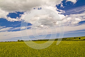 Wheat fields and clouds, Apulia, Italy