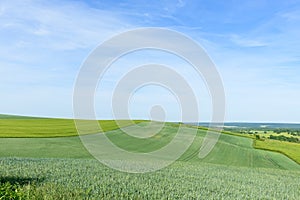 Wheat fields in the countryside in Europe, in France, in Burgundy, in Nievre, towards Clamecy, in Spring, on a sunny day photo