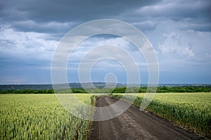 Wheat fields with a long road and beautiful sunset sky with thunderstorm clouds.