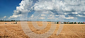 Wheat fields with stubble and village on the horizon, combine harvester and machinery during the grain harvesting process
