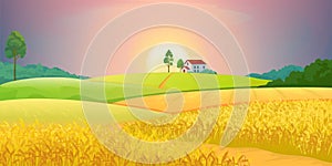 Wheat fields. Village farm landscape with green hills and sunset. Vector rural agricultural countryside with buildings