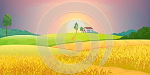 Wheat fields. Village farm landscape with green hills and sunset. Vector rural agricultural countryside with buildings photo