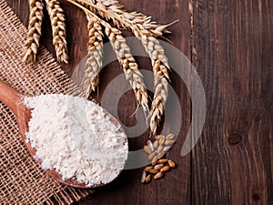 Wheat and flour