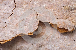 Wheat flour flatbreads snack closeup texture