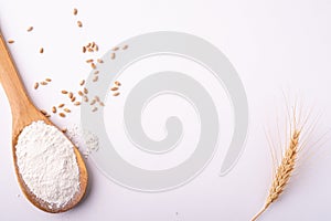 Wheat flour in wooden spoon spatula near with heap of grains and with ear of wheat, top view, flat lay