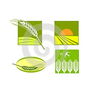 Wheat food rice logo vector