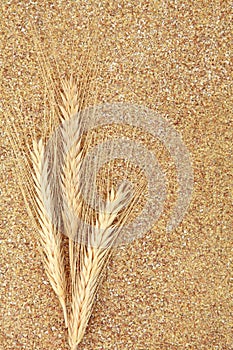 Wheat Germ photo