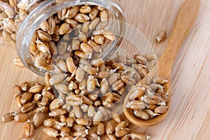 Wheat germ in a glass jar on the wooden background