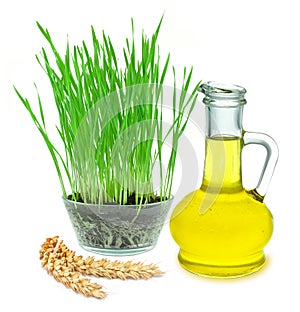 Wheat germ oil