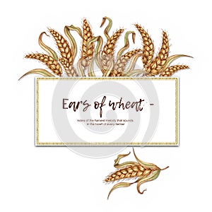Wheat golden ears frame with watercolor text