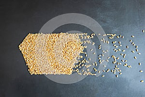 wheat grain abstract shape concept flat overhead view