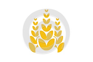 Wheat grain agriculture logo design inspiration.