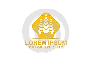 Wheat Grain agriculture logo inspiration isolated on white background.