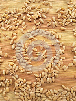 Wheat grain background
