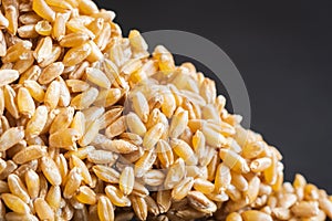 wheat grain bar closeup over dark background