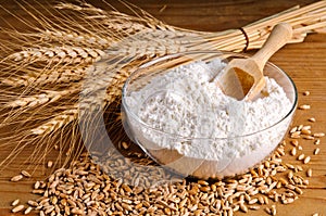 Trigo grano a harina 