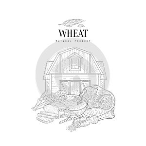 Wheat Grain, Flour And Farm Hand Drawn Realistic Sketch