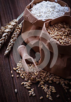 Wheat grain and flour in paper bags