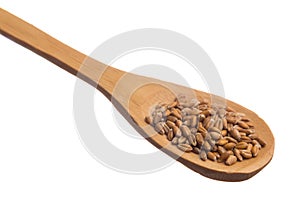 Wheat Grain. Grains over wooden spoon, isolated white background. photo