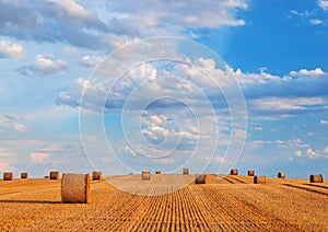 Wheat grain hay bale in a field on a sunny day in a rural landscape.