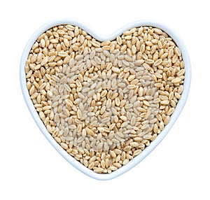 Wheat grain in heart shaped porcelain dish isolated on white background