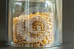 wheat grain inside glass jar storage container closeup