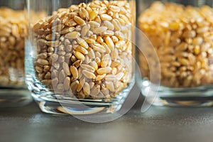 wheat grain inside glass jar storage container closeup