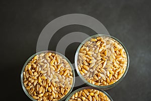 wheat grain inside glass jar storage container overhead view