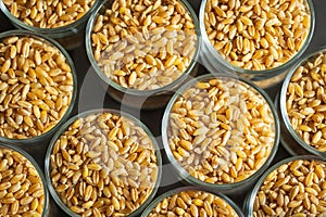wheat grain inside glass jar storage container overhead view