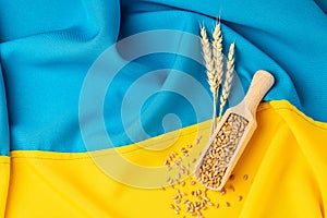 Wheat Grain in Ukraine with flag. Concept of food supply crisis and global food scarcity