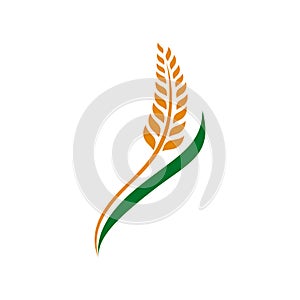Wheat grain and Wheat rice logo Inspiration vector