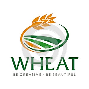 Wheat grain and Wheat rice logo Inspiration vector