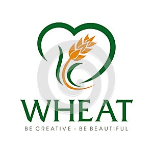 Wheat grain and Wheat rice logo Inspiration vector