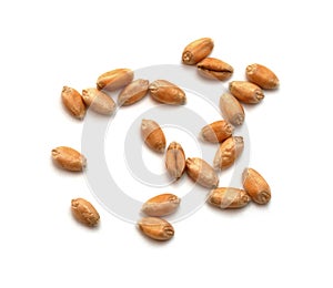 Wheat grains