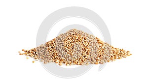 Wheat Grains, Barley Pile, Dry Cereal Seeds, Wheat Grains Heap on White