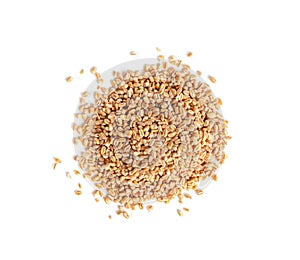 Wheat Grains, Barley Pile, Dry Cereal Seeds, Wheat Grains Heap on White