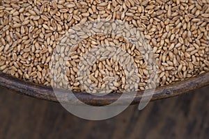 Wheat grains in a bowl on a wooden background, top view