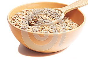 Wheat grains in bowl with wooden spoon isolated on white background.