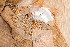 Wheat grains, bran and flour.
