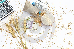 Wheat grains, ears and flour with KSA banknotes isolated on white background
