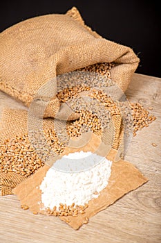 Wheat grains and flour