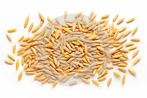 Wheat Grains Isolated, Barley Pile, Dry Cereal Seeds for Bread, Spelta Healthy Organic Food, Wheat Grains