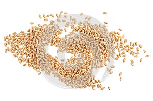 Wheat grains isolated on white background, top view. Wheat seeds. Wheat kernels