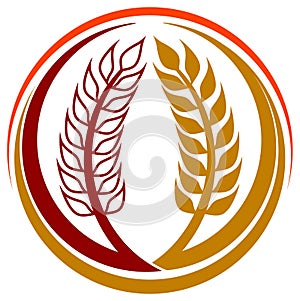 Wheat grains logo