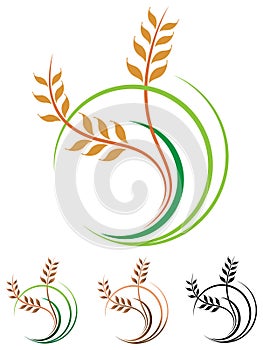 Wheat grains logo